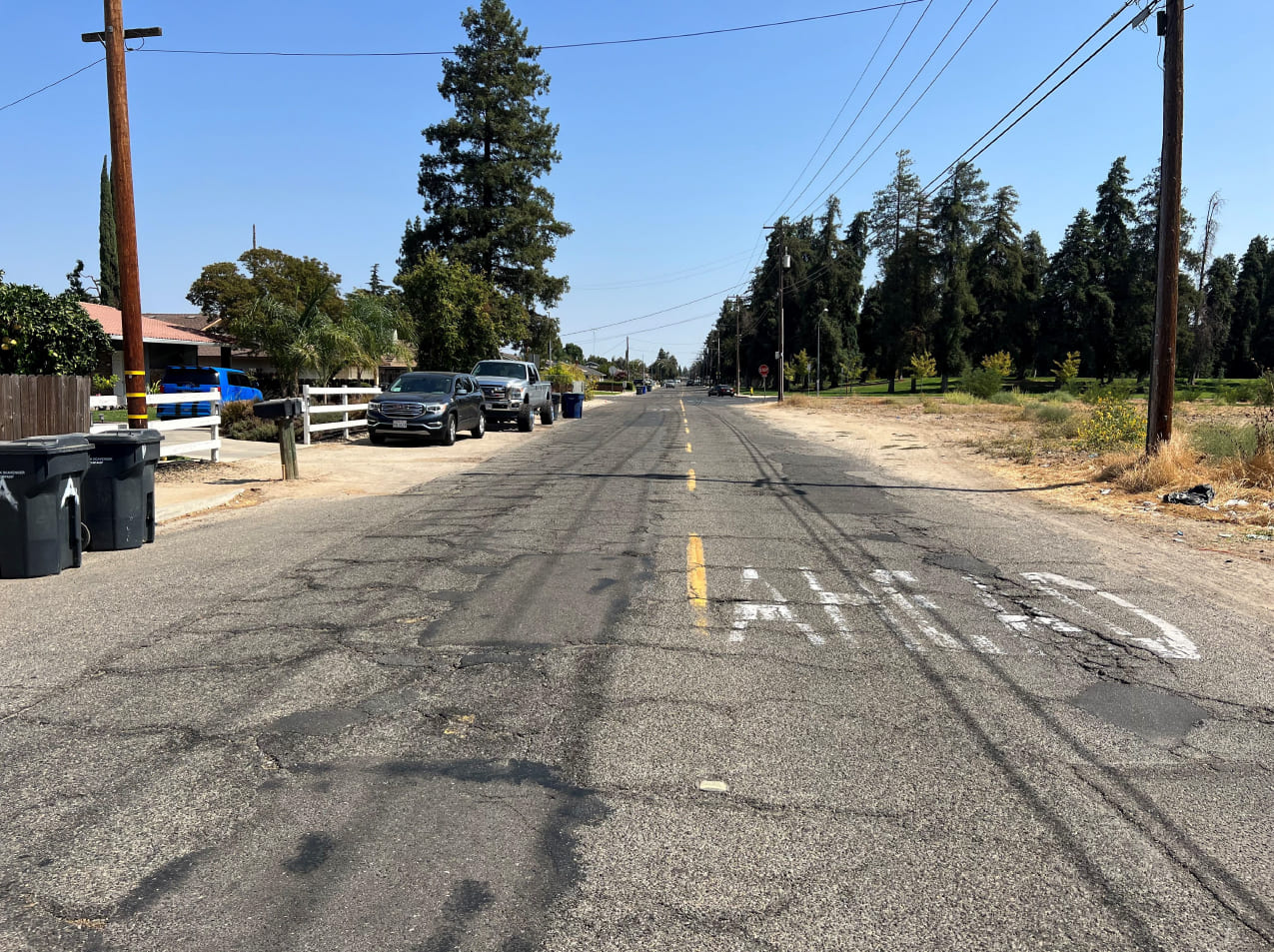 Turlock Pedras before